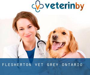 Flesherton vet (Grey, Ontario)