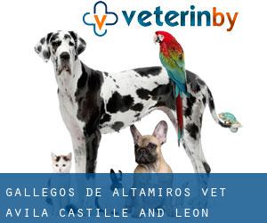 Gallegos de Altamiros vet (Avila, Castille and León)