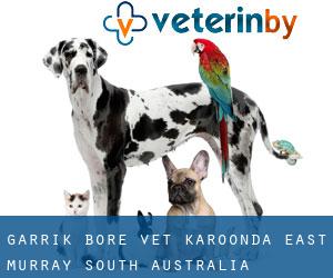 Garrik Bore vet (Karoonda East Murray, South Australia)