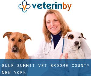 Gulf Summit vet (Broome County, New York)