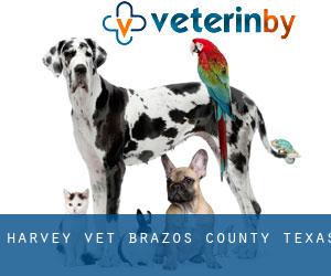 Harvey vet (Brazos County, Texas)