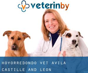Hoyorredondo vet (Avila, Castille and León)