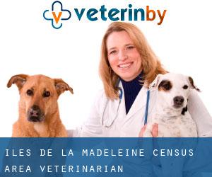 Îles-de-la-Madeleine (census area) veterinarian