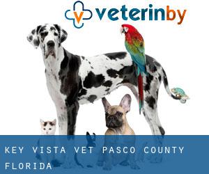 Key Vista vet (Pasco County, Florida)