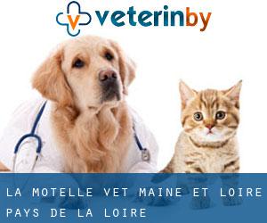 La Motelle vet (Maine-et-Loire, Pays de la Loire)