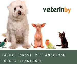 Laurel Grove vet (Anderson County, Tennessee)