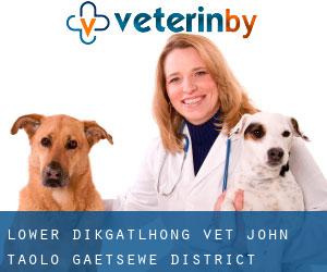 Lower Dikgatlhong vet (John Taolo Gaetsewe District Municipality, Northern Cape)