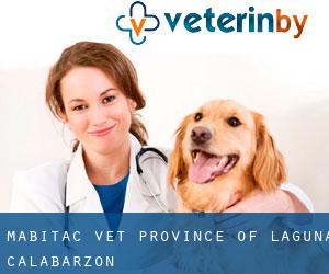 Mabitac vet (Province of Laguna, Calabarzon)