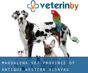 Magdalena vet (Province of Antique, Western Visayas)