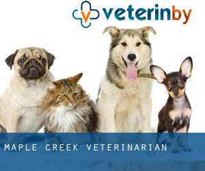 Maple Creek veterinarian