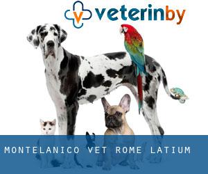 Montelanico vet (Rome, Latium)