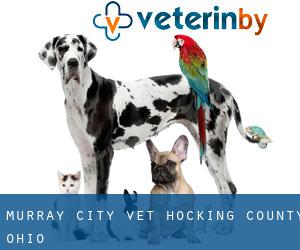 Murray City vet (Hocking County, Ohio)
