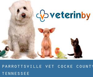 Parrottsville vet (Cocke County, Tennessee)