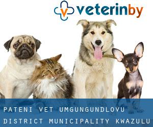 Pateni vet (uMgungundlovu District Municipality, KwaZulu-Natal)