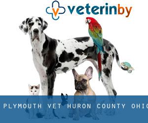 Plymouth vet (Huron County, Ohio)