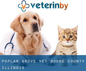 Poplar Grove vet (Boone County, Illinois)