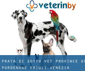 Prata di Sotto vet (Province of Pordenone, Friuli Venezia Giulia)