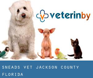 Sneads vet (Jackson County, Florida)