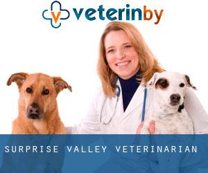 Surprise Valley veterinarian