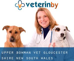 Upper Bowman vet (Gloucester Shire, New South Wales)