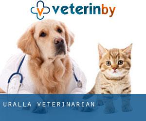 Uralla veterinarian
