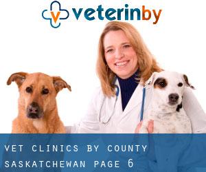 vet clinics by County (Saskatchewan) - page 6