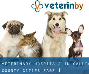 veterinary hospitals in Gallia County (Cities) - page 1