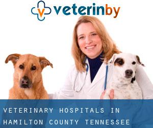 veterinary hospitals in Hamilton County Tennessee (Cities) - page 6