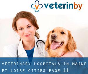 veterinary hospitals in Maine-et-Loire (Cities) - page 11