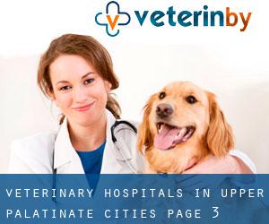 veterinary hospitals in Upper Palatinate (Cities) - page 3
