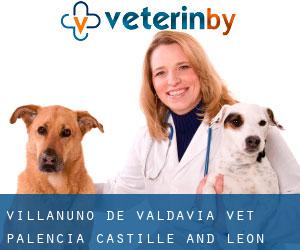 Villanuño de Valdavia vet (Palencia, Castille and León)