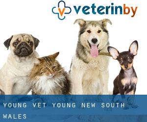 Young vet (Young, New South Wales)
